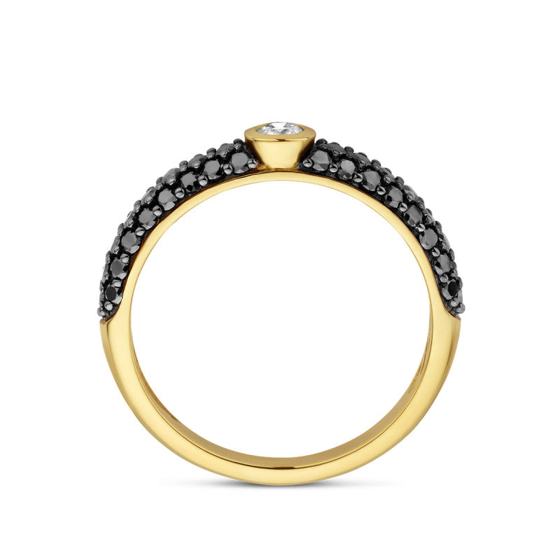 Ring zwart diamant en diamant 0.10ct h si