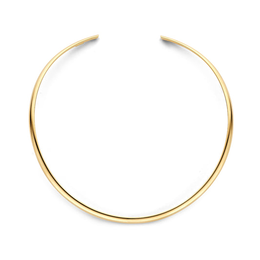 Collier spang ovale buis